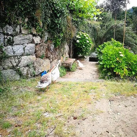 Casa Do Palheiro Holiday home *