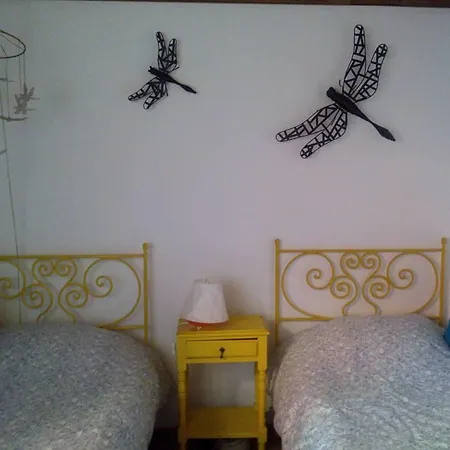 Holiday home Casa Do Palheiro